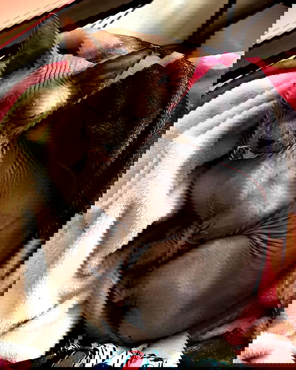 iluvmeww iluvmeww archive image