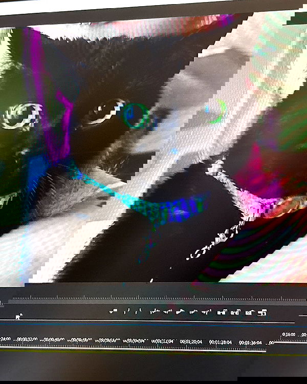 iluvmeww iluvmeww archive image