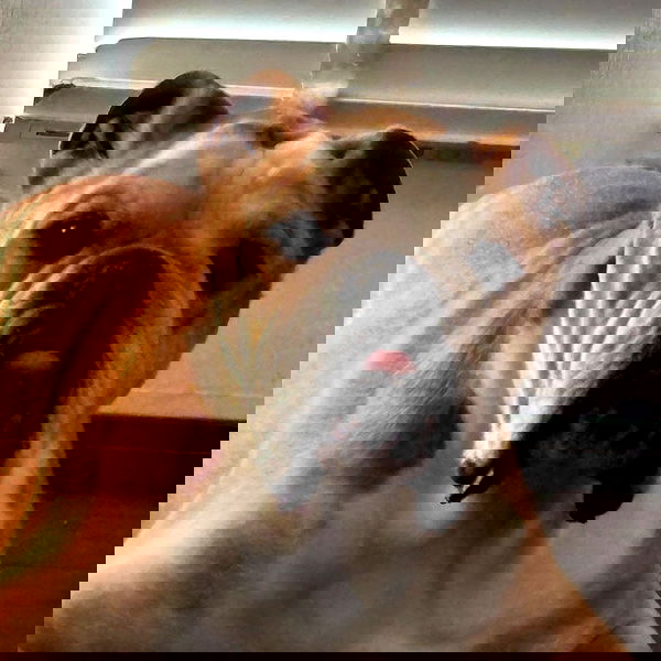 iluvmeww iluvmeww archive image