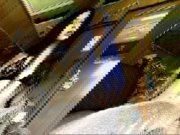 imalovesosa image ~ Altpins