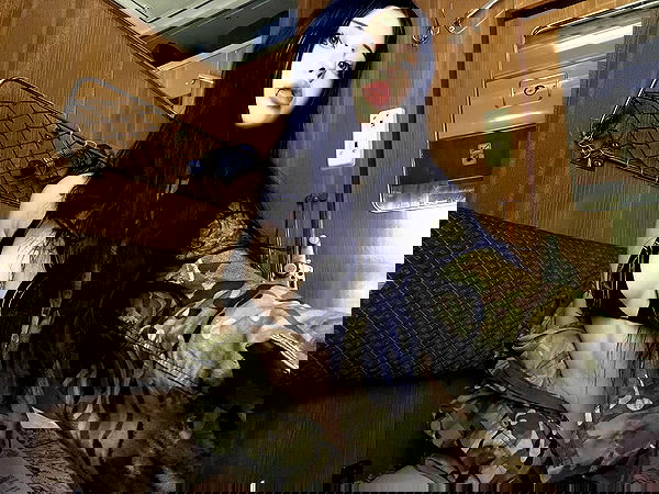 imalovesosa image ~ Altpins