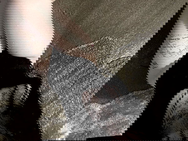 imalovesosa image ~ Altpins