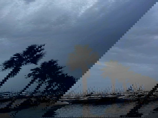 imalovesosa image ~ Altpins