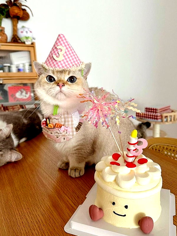 imeownaz instagram image archive image