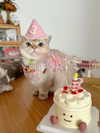 imeownaz Altpins Profile Picture