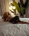 impulsivemomentsphotography Altpins Profile Picture