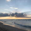 indielevi_ Altpins Profile Picture