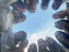 indielevi_ Altpins Profile Picture