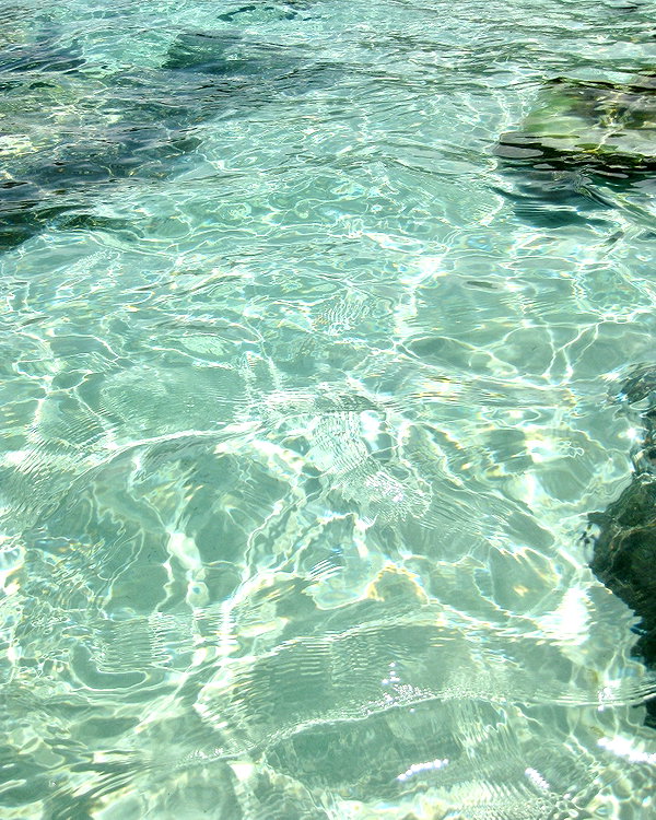 indigorose__ indigorose__ archive image