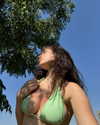 innerdragon.co Altpins Profile Picture