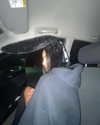 invaderzoe3 Altpins Profile Picture
