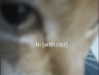 irlrue Altpins Profile Picture