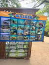 isabela_quintero25 Altpins Profile Picture