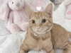 itgirlhan Altpins Profile Picture