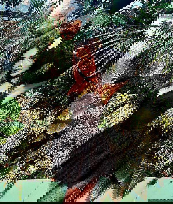 itsandreabotez itsandreabotez archive image