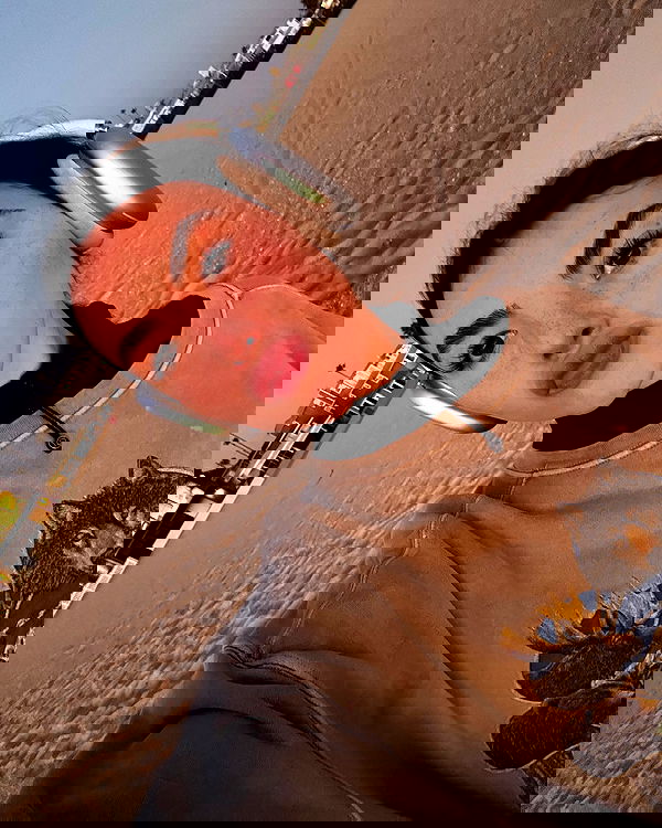 itsandreabotez itsandreabotez archive image