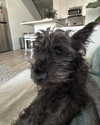 itsbabytanatwo Altpins Profile Picture