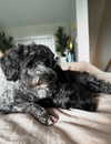 itsbabytanatwo Altpins Profile Picture