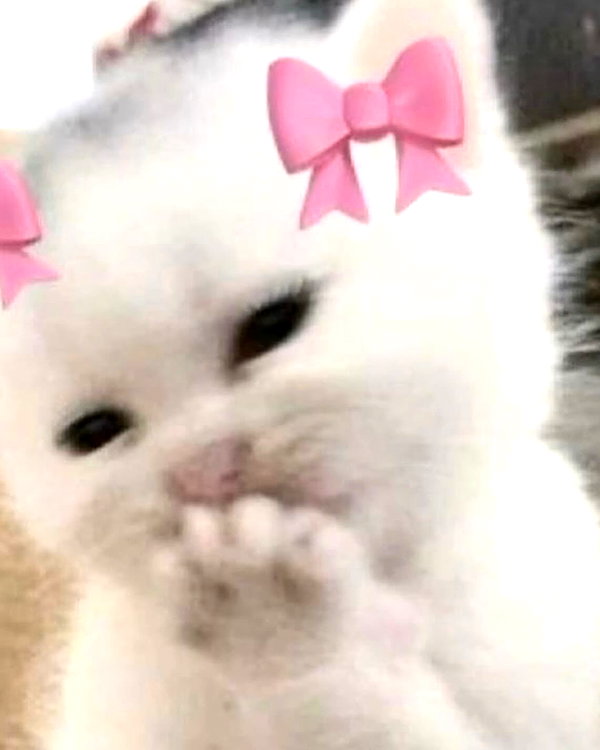 itsellerrrrrrr instagram image archive image