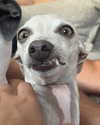 itsemilyblack Altpins Profile Picture