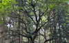 itshannahowo Altpins Profile Picture