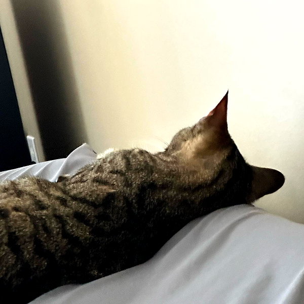 itshannahowo instagram image archive image
