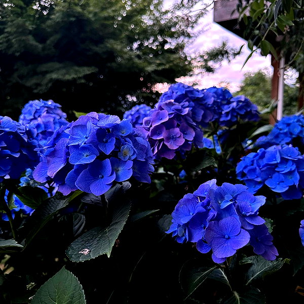 itshannahowo instagram image archive image