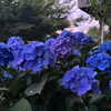 itshannahowo Altpins Profile Picture