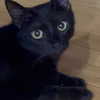 itshannahowo Altpins Profile Picture