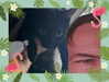 itshannahowo Altpins Profile Picture