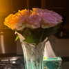 itshannahowo Altpins Profile Picture