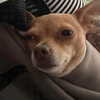 itshannahowo Altpins Profile Picture