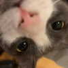 itshannahowo Altpins Profile Picture