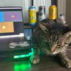 itshannahowo Altpins Profile Picture