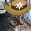 itshannahowo Altpins Profile Picture