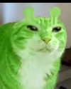 itshannahowo Altpins Profile Picture