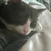 itshannahowo Altpins Profile Picture