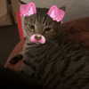 itshannahowo Altpins Profile Picture