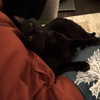 itshannahowo Altpins Profile Picture