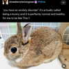 itshannahowo Altpins Profile Picture