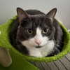 itshannahowo Altpins Profile Picture