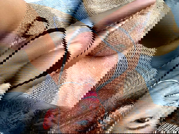 itshayleydavies image ~ Altpins