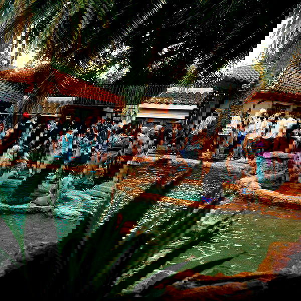 itshayleydavies image ~ Altpins