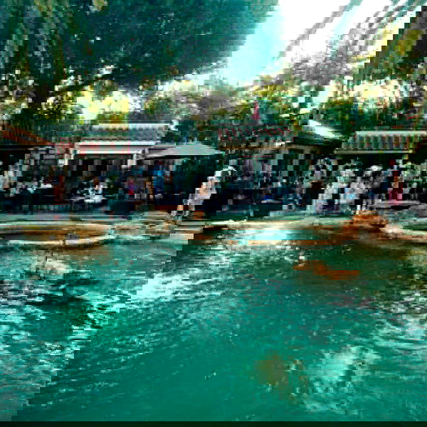 itshayleydavies image ~ Altpins