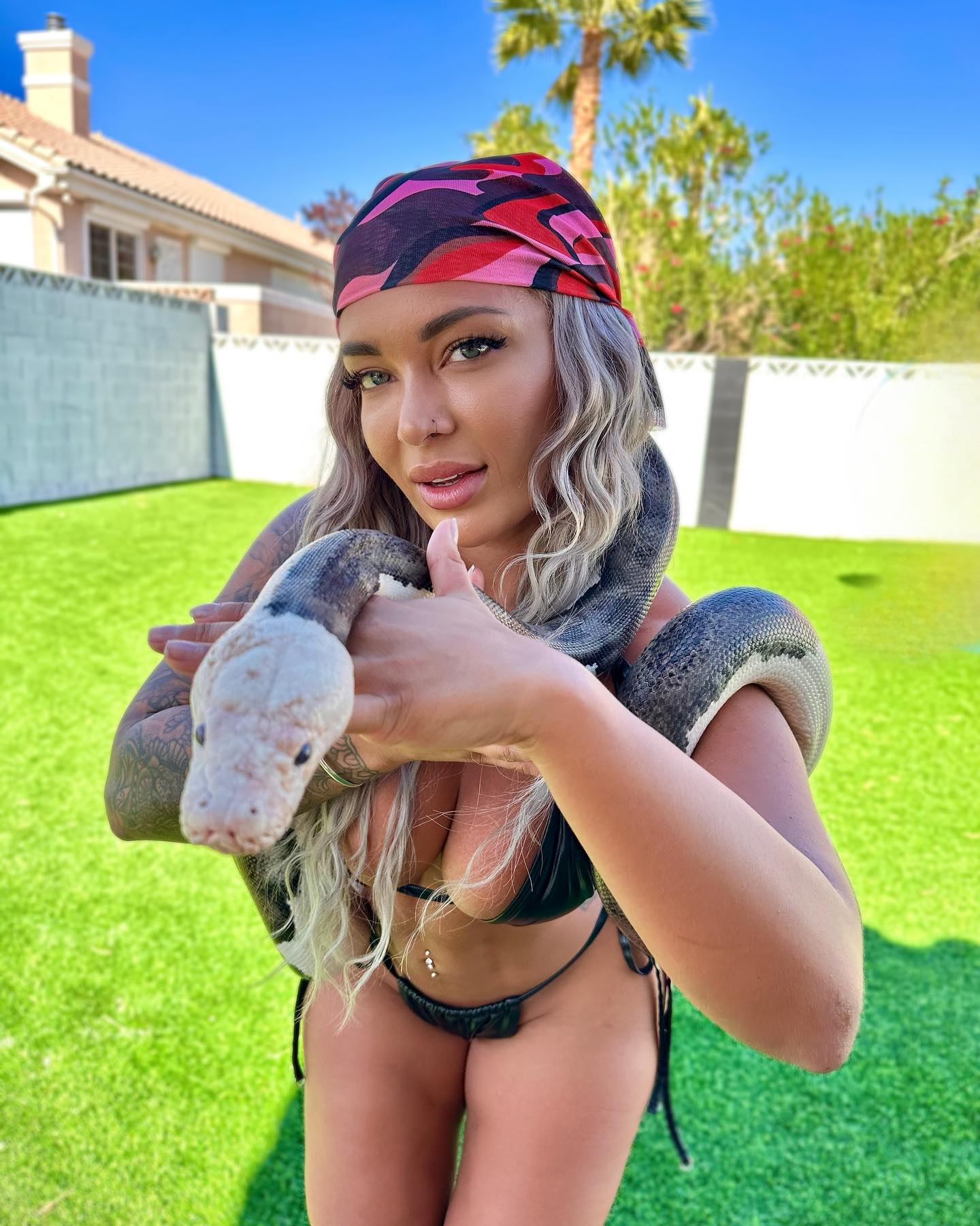 itshayleydavies instagram image archive image