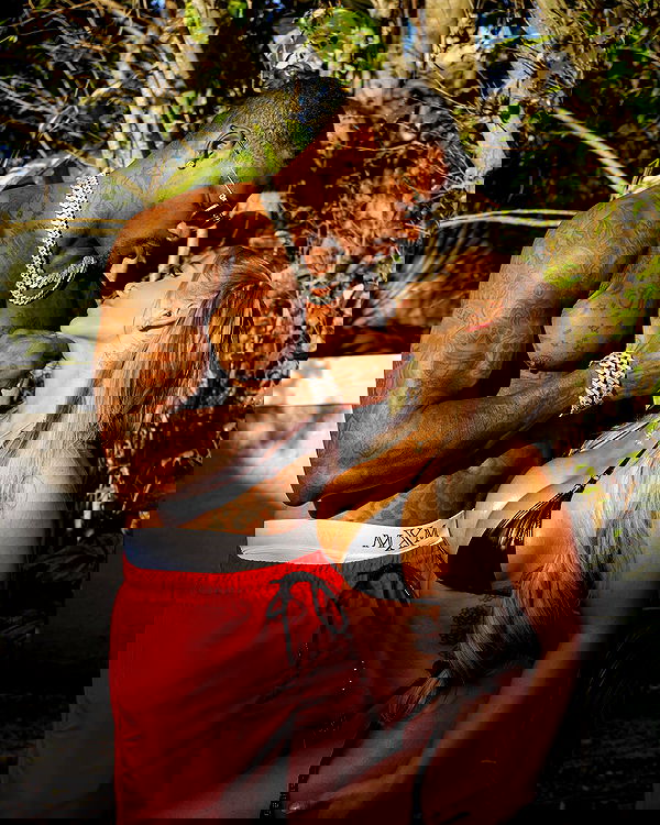 itshayleydavies image ~ Altpins