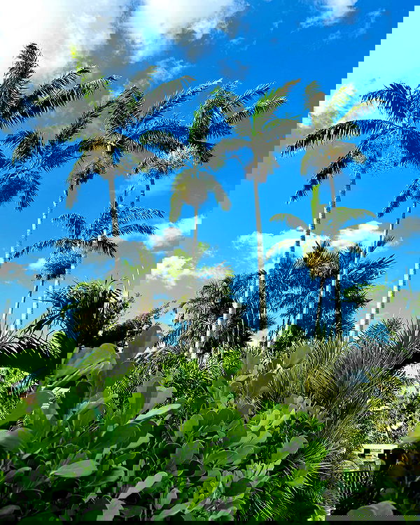 itshayleydavies image ~ Altpins