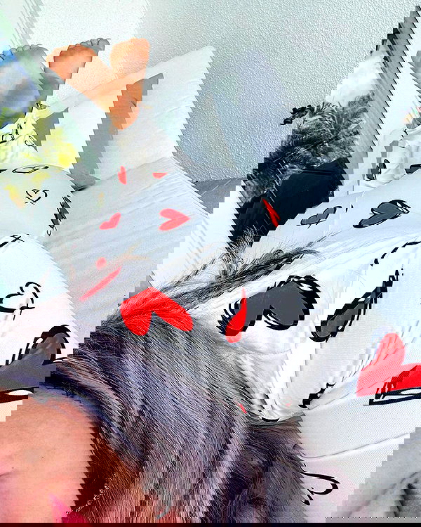 itshayleydavies image ~ Altpins