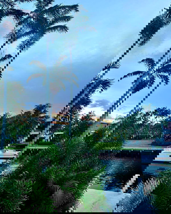 itshayleydavies image ~ Altpins