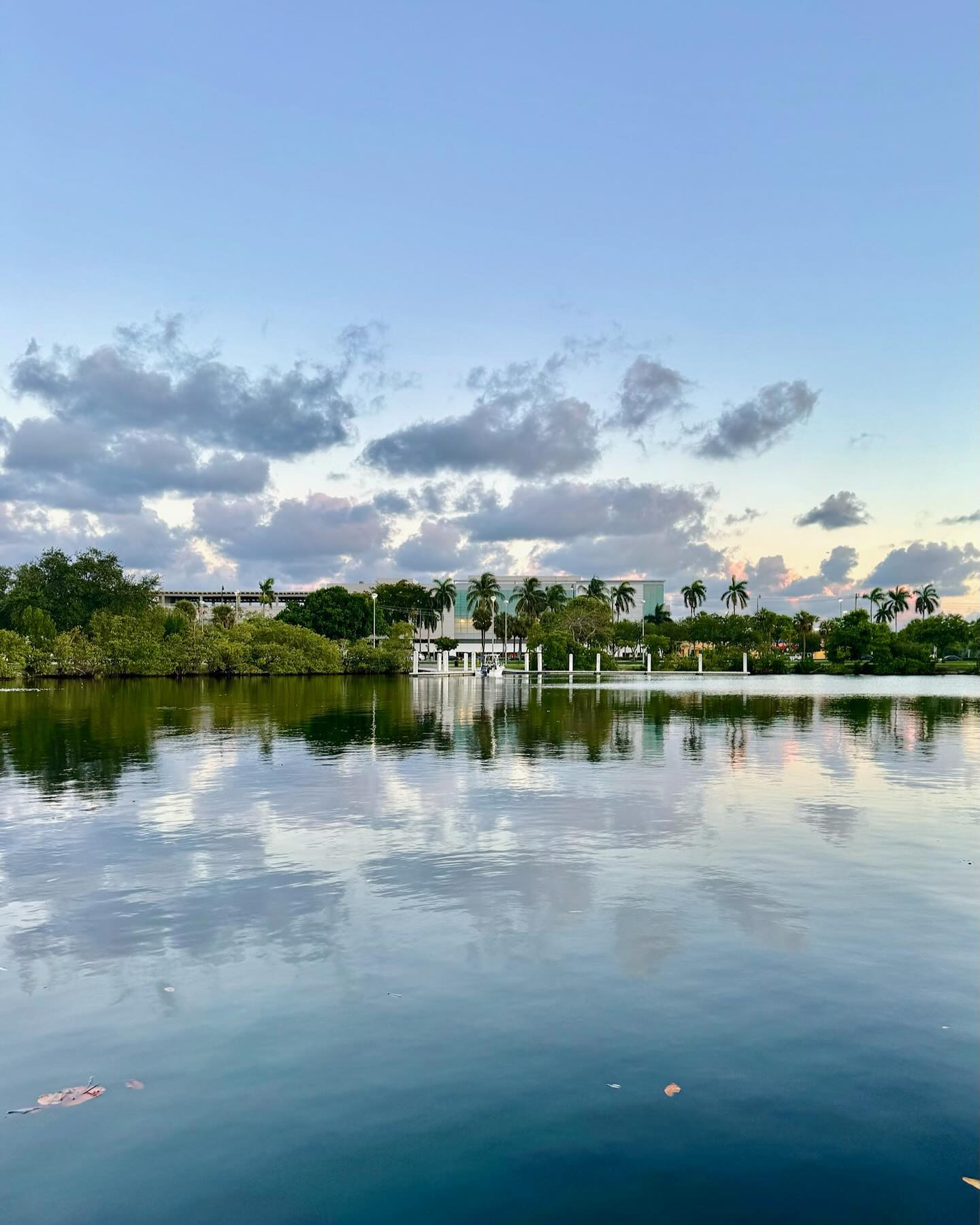 itshayleydavies instagram image archive image